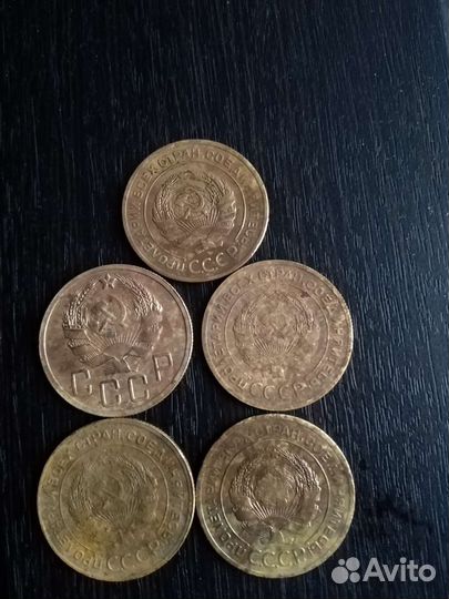 Лот пятоков