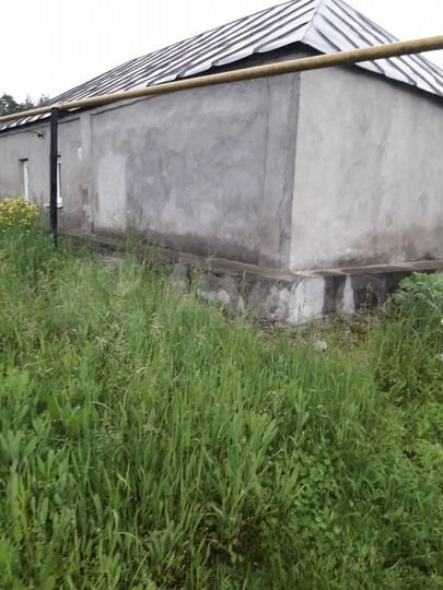 Дом 45 м² на участке 14,8 сот.