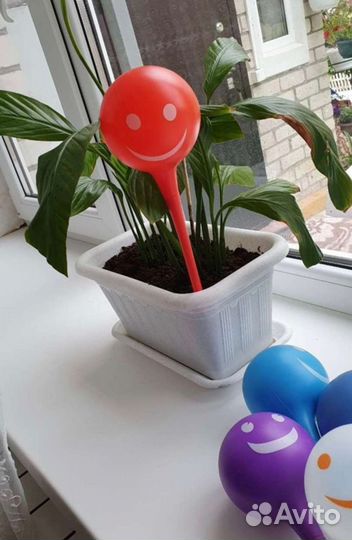 Шар-автополив для комнатных растений