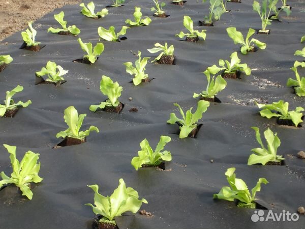 Спанбонд агро спанбонд