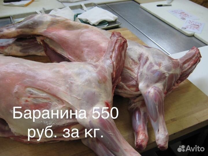 Рыба Семга Форель Кижуч Кета Мойва Скумбрия Щука