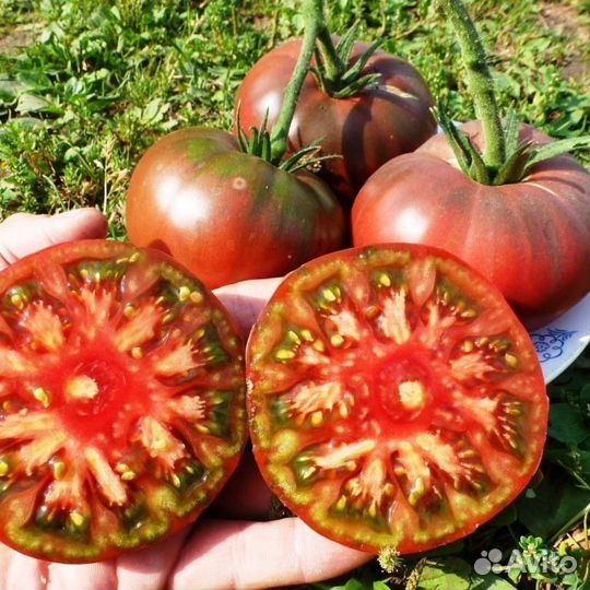 Семена коллекционных томатов