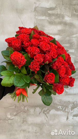 Цветы розы алые 51 шт Доставка