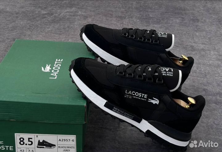 Кроссовки lacoste мужские