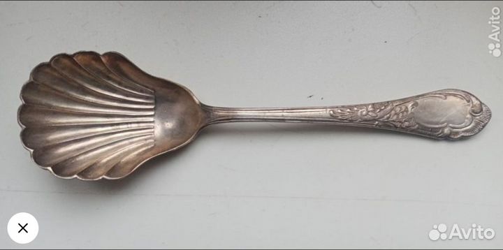 Ложка ракушка мнц