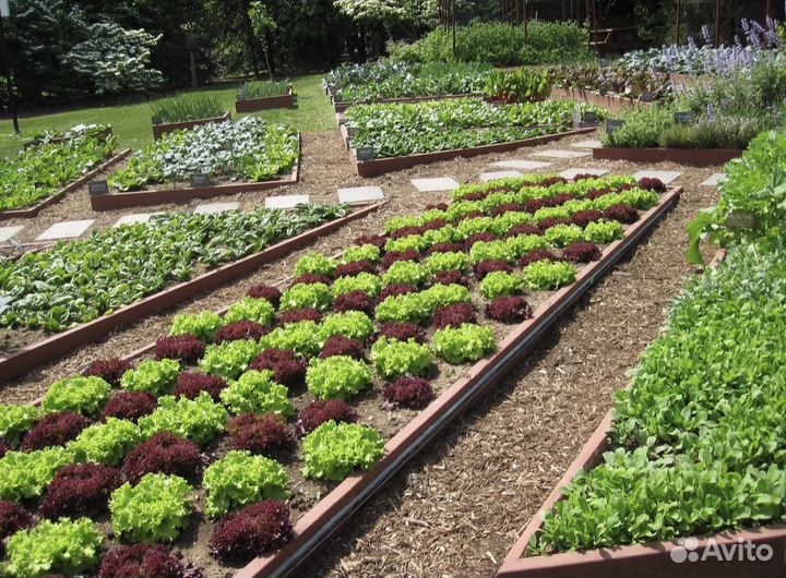 Пгс, Песок, Чернозём навоз земля плодородная любая