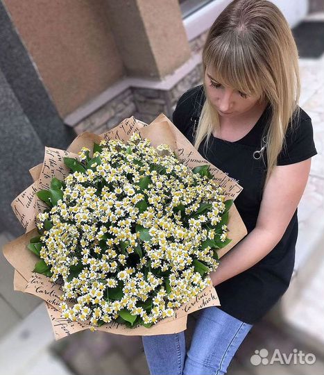 Цветы ромашки