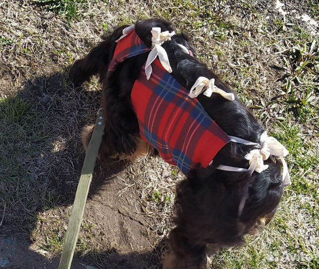 Попона для собак послеоперационная