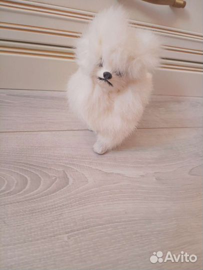 Декоративная игрушка Собачка пудель нат.мех