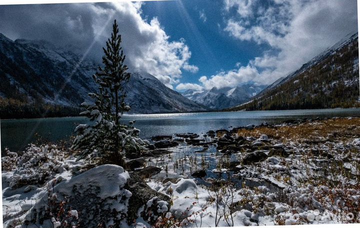 Тур поездка Алтай зимой экскурсии 5-7 дн