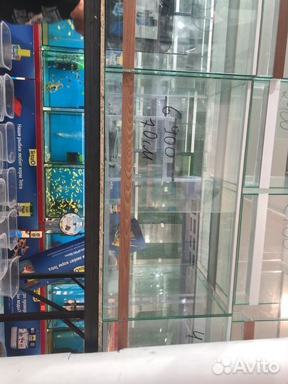 Террариум для рептилий