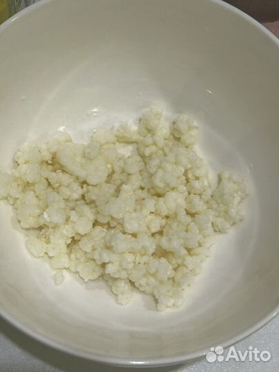 Самый настоящий тибетский кефирный гриб