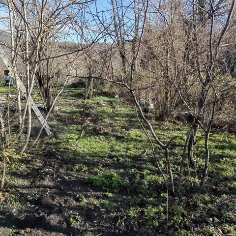 Быстровозводимый дом в Шепси купить