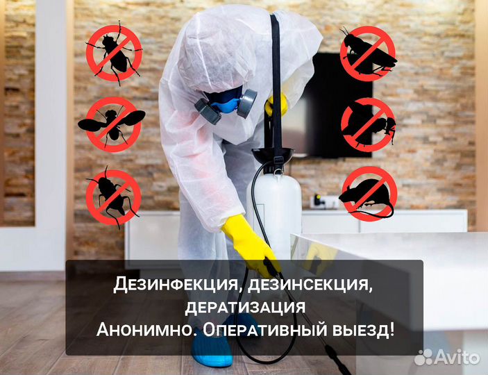 Обработка от клопов и тараканов Кротов Крыс Мышей