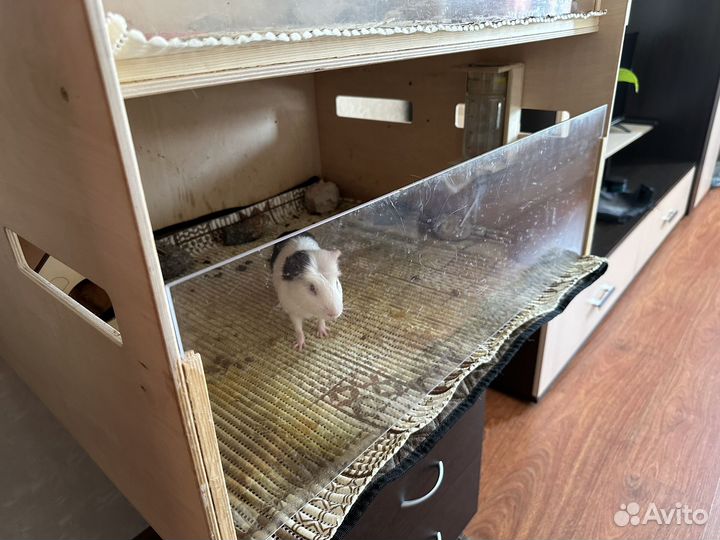 Стеллаж для грызунов/клетка для морской свинки