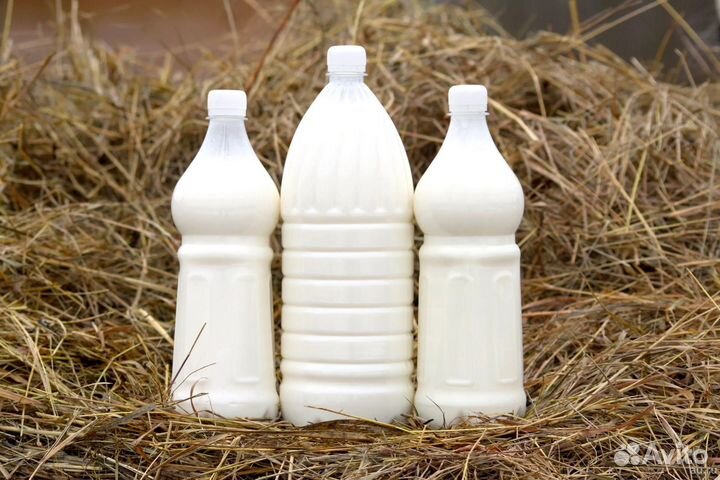 Молоко коровье домашнее и куриные яйца