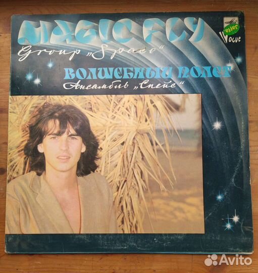 Виниловая пластинка