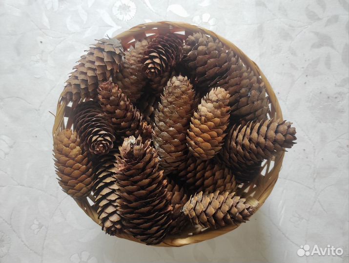Шишки еловые для декора