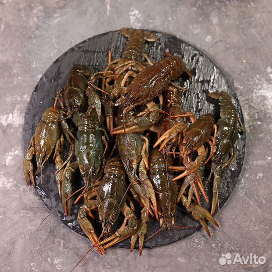 Живые раки волжские с доставкой
