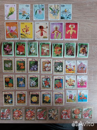 Марки СССР флора и фауна