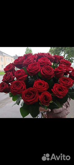 Розы, герберы, хризантема