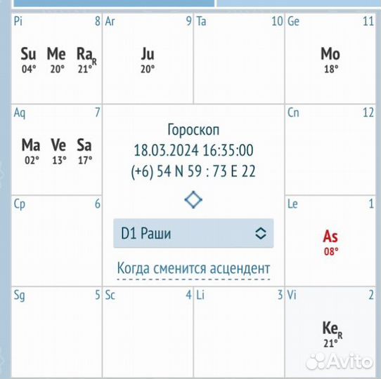 Ведический астролог