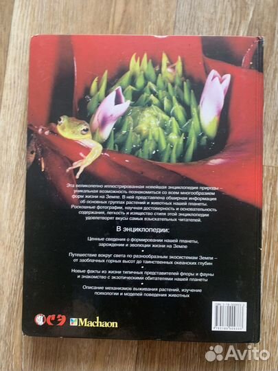 Иллюстрированная энциклопедия