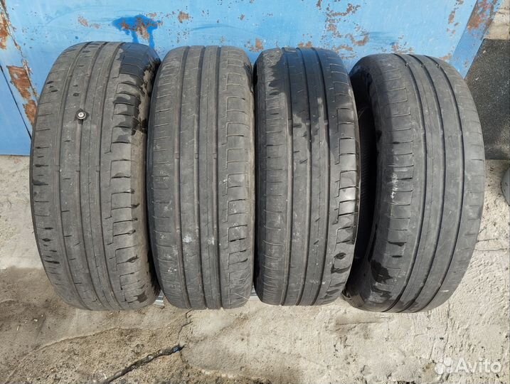 Continental PremiumContact 6 195/65 R15 91H