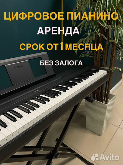 Цифровое пианино вАренду casio cdp