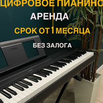 Цифровое пианино вАренду casio cdp