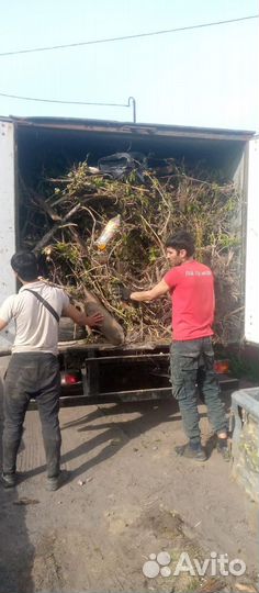 Вывоз мусора