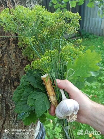 Набор для засолки/соленья