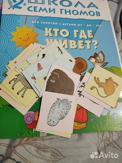 Школа семи гномов 2+