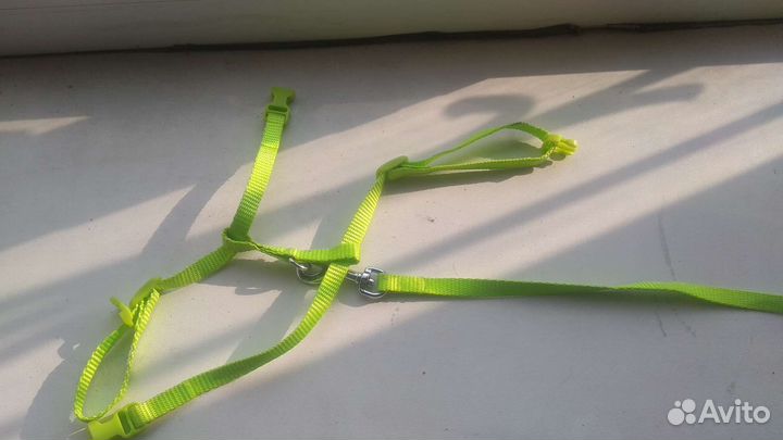 Шлейка для кошки