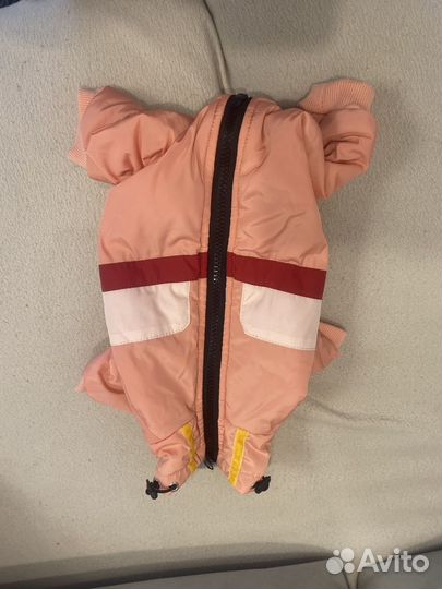 Одежда для собак