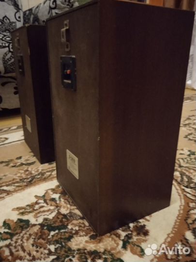 Колонки радиотехника S-30B