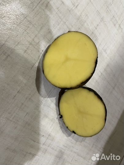 Картофель