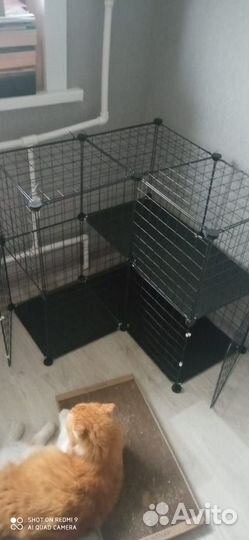 Клетка для животных