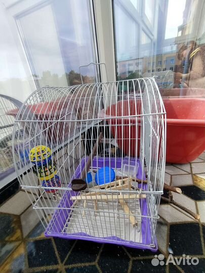 Клетка для птиц