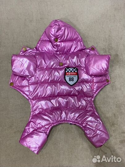 Комбинезон для шпица