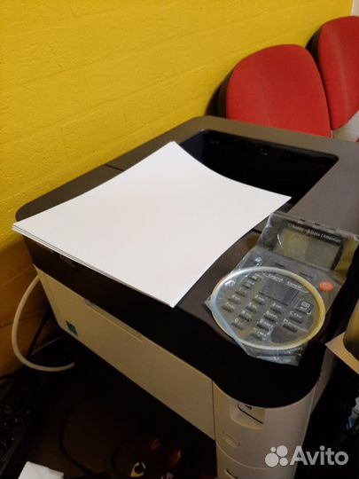 Распечатка ч/б, цветная, фото до А1. Перепет