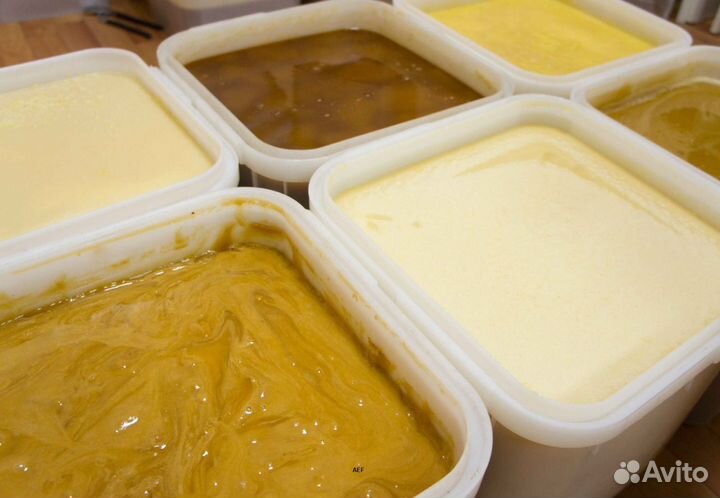 2024 Мед натуральный с Алтая оптом