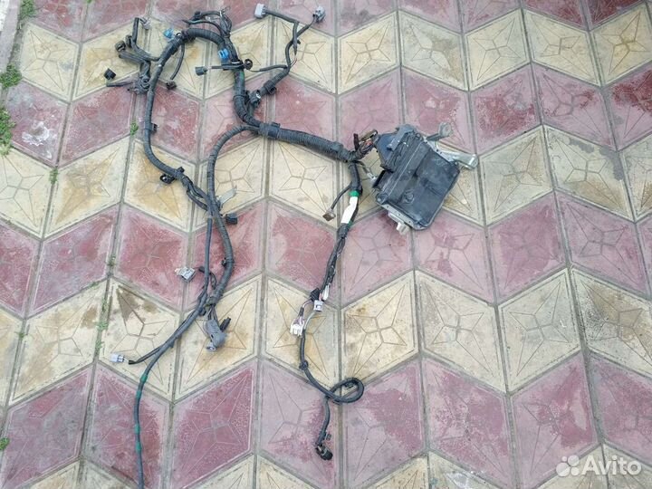 Электропроводка на Тойота Yitz