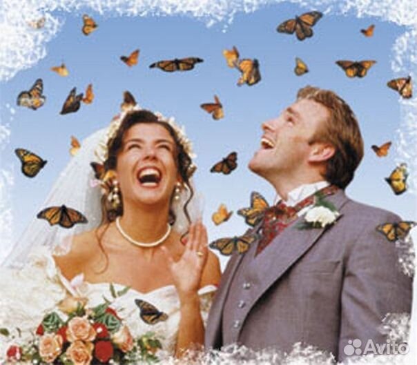 Франшиза Салюты из Живых Тропических Бабочек 2941