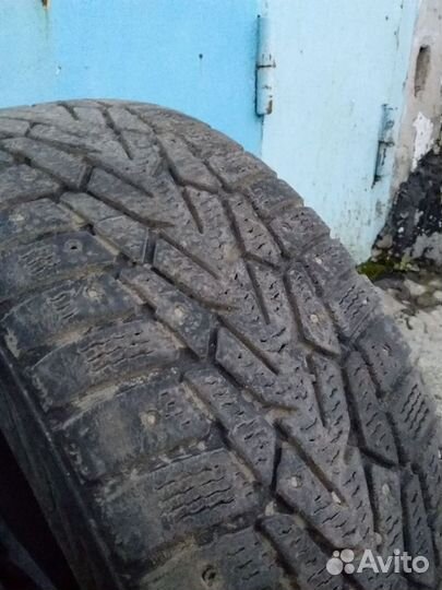 Nokian Tyres Hakkapeliitta 7 205/55 R16