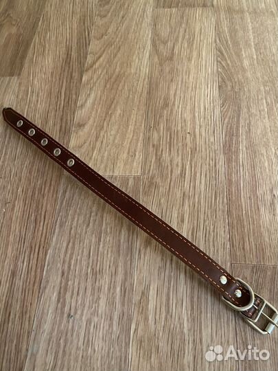 Ошейник для собак