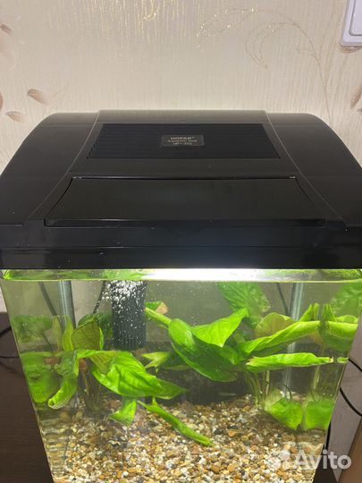 Аквариум