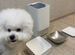 Автоматическая кормушка Xiaomi Smart Pet Food Feed