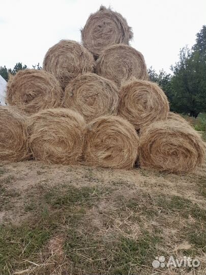 Сено в рулонах 2023г