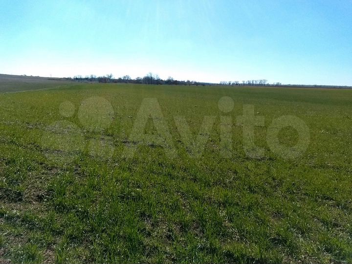 Участок 4,5 га (СНТ, ДНП)